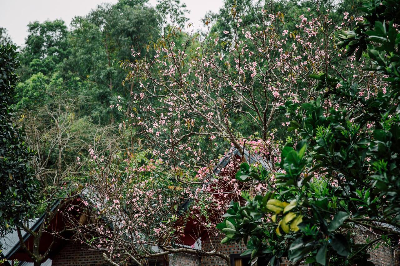 Cat Ba Spring Garden Homestay Hien Hao Екстериор снимка